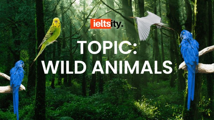 Topic Wild Animals - câu trả lời mẫu ielts band 8+ 