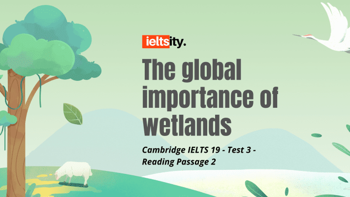 The global importance of wetlands